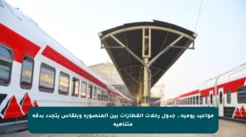 مواعيد يومية.. جدول رحلات القطارات بين المنصورة وبلقاس يتجدد بدقة متناهية